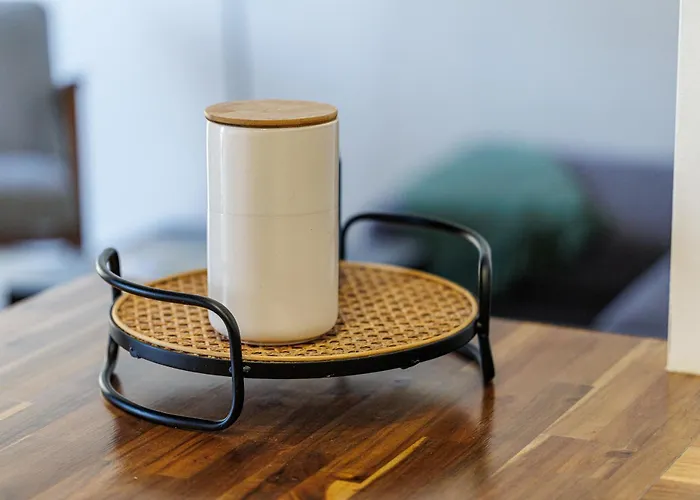 Apartment Sicardi 2 - - Climatisation-vue Menton